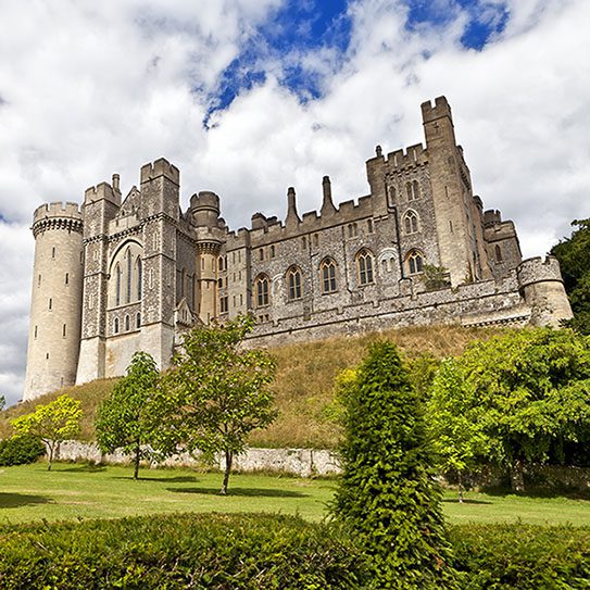 medieval bad breath 2025 543 Matias Dental Group